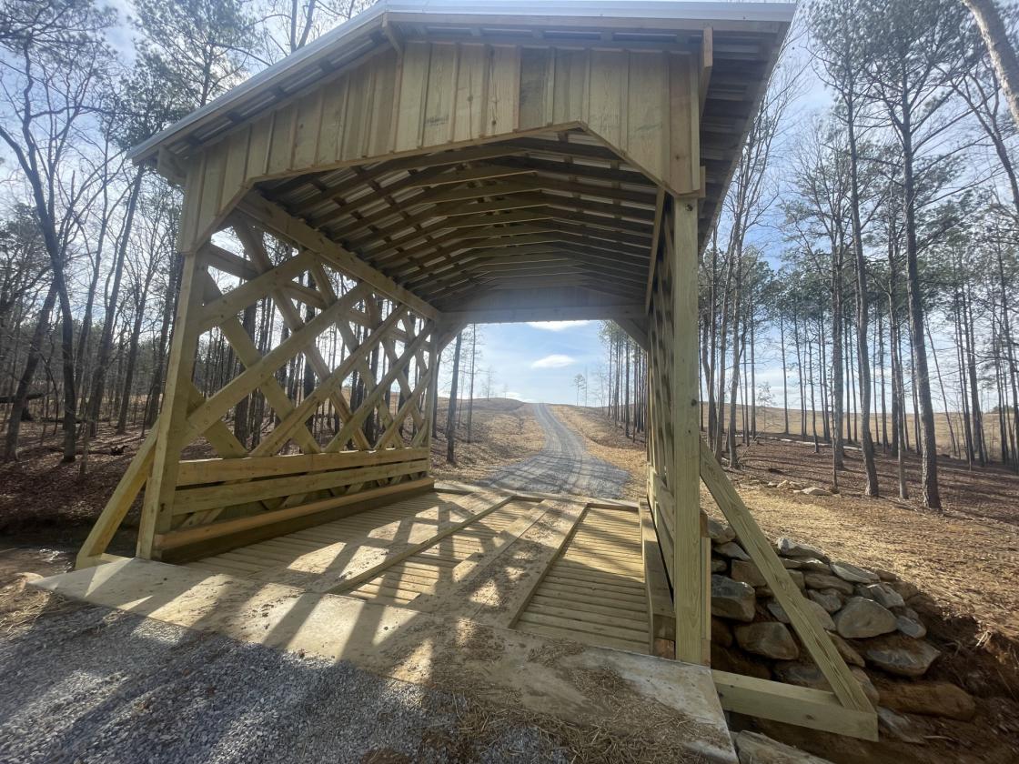 160 Acres in Shelby County w/ pastures and lake - photo 28