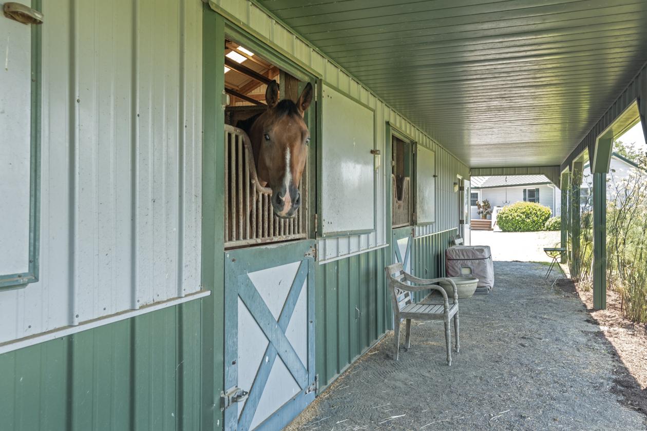 Horses In Harmony - photo 11