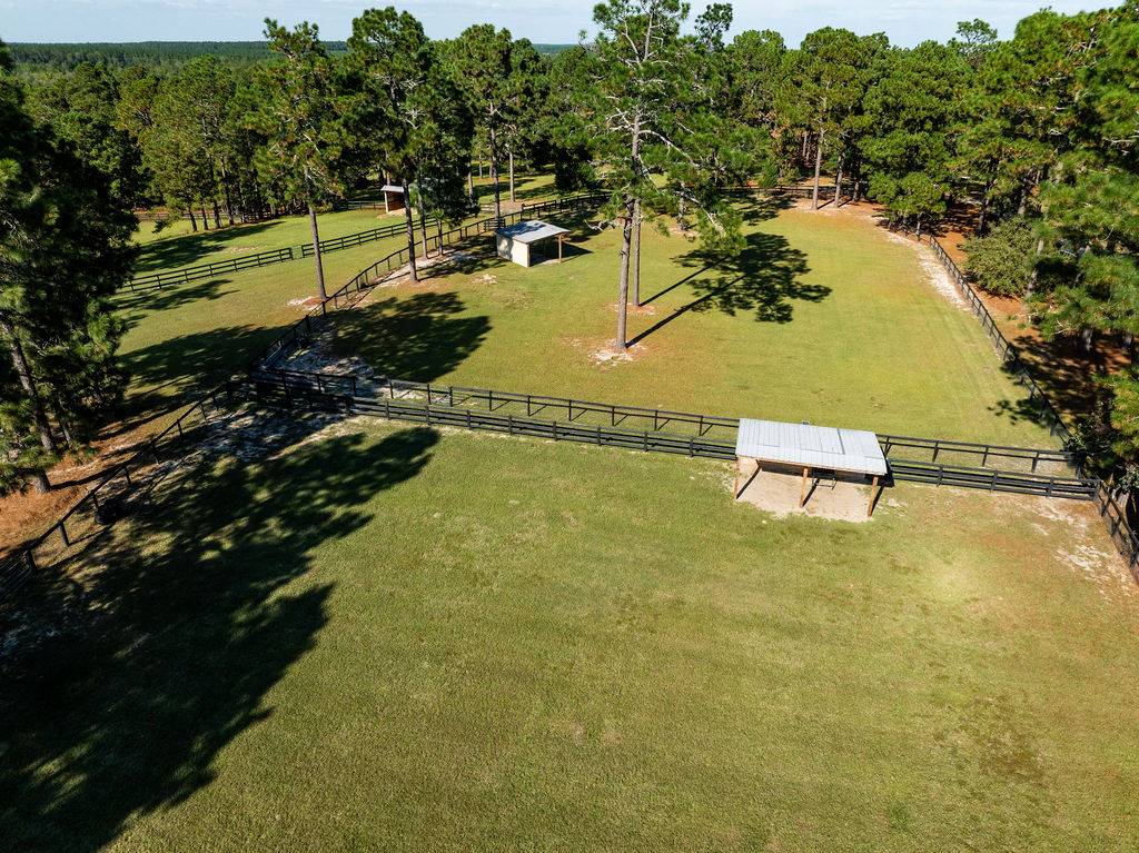 Miles of trails right off Camden equestrian estate - photo 6