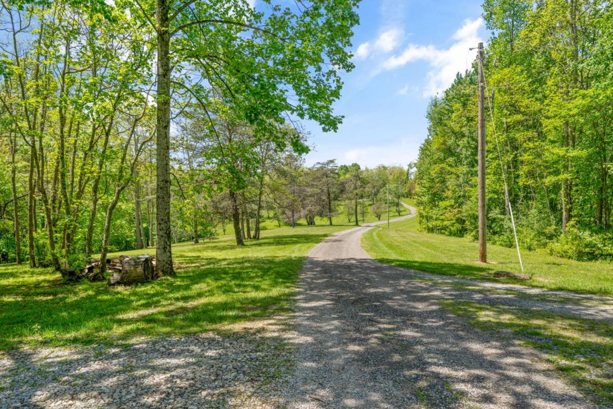 Future Equestrian Estate with Log Home - photo 15