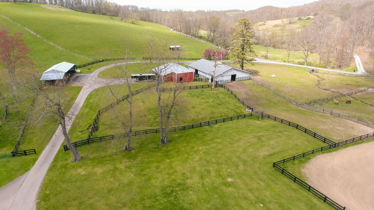 Equestrian Farm with 200 acres and indoor and outdoor arenas... Jane