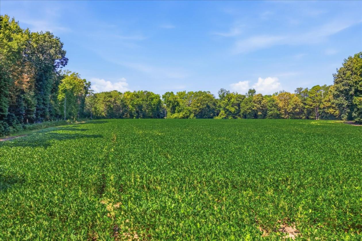 75 Acre Equestrian Dream Property - photo 19