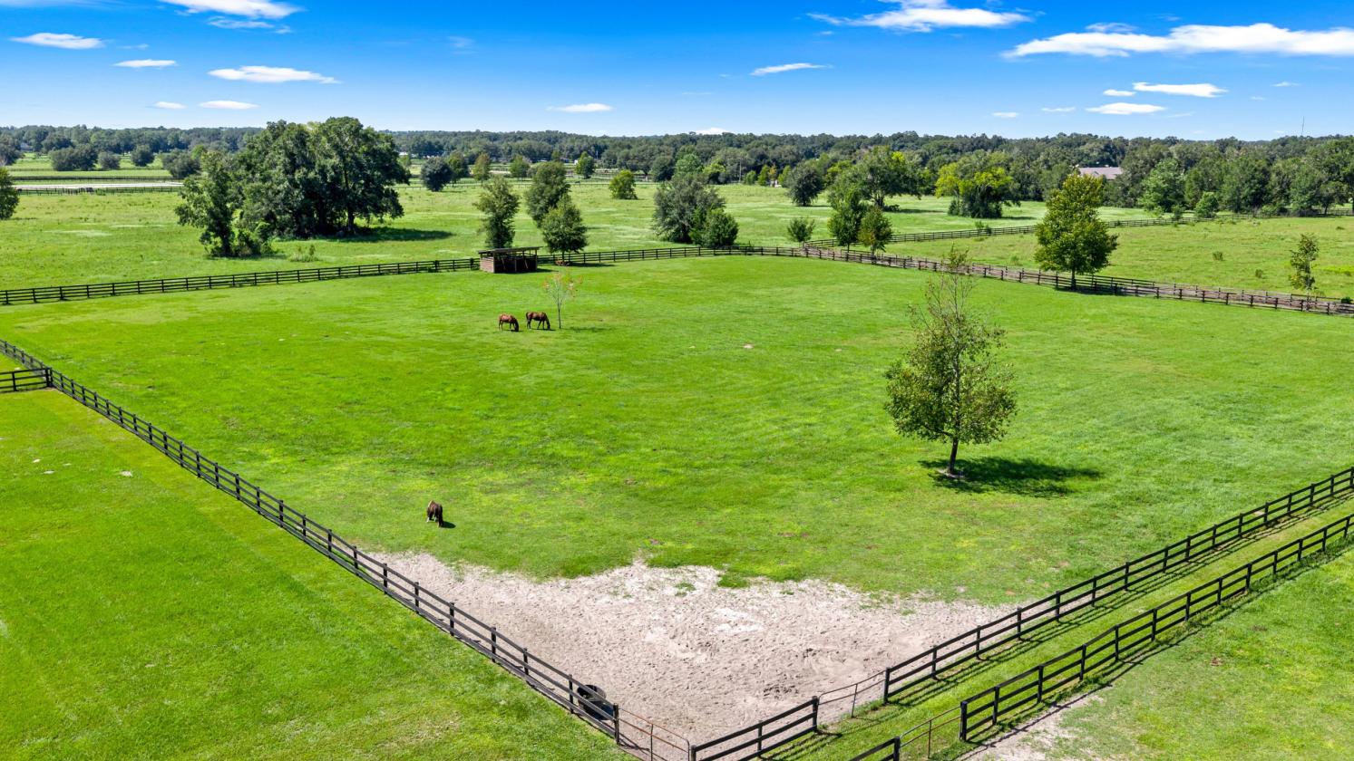 FAR POINT FARMS - photo 11