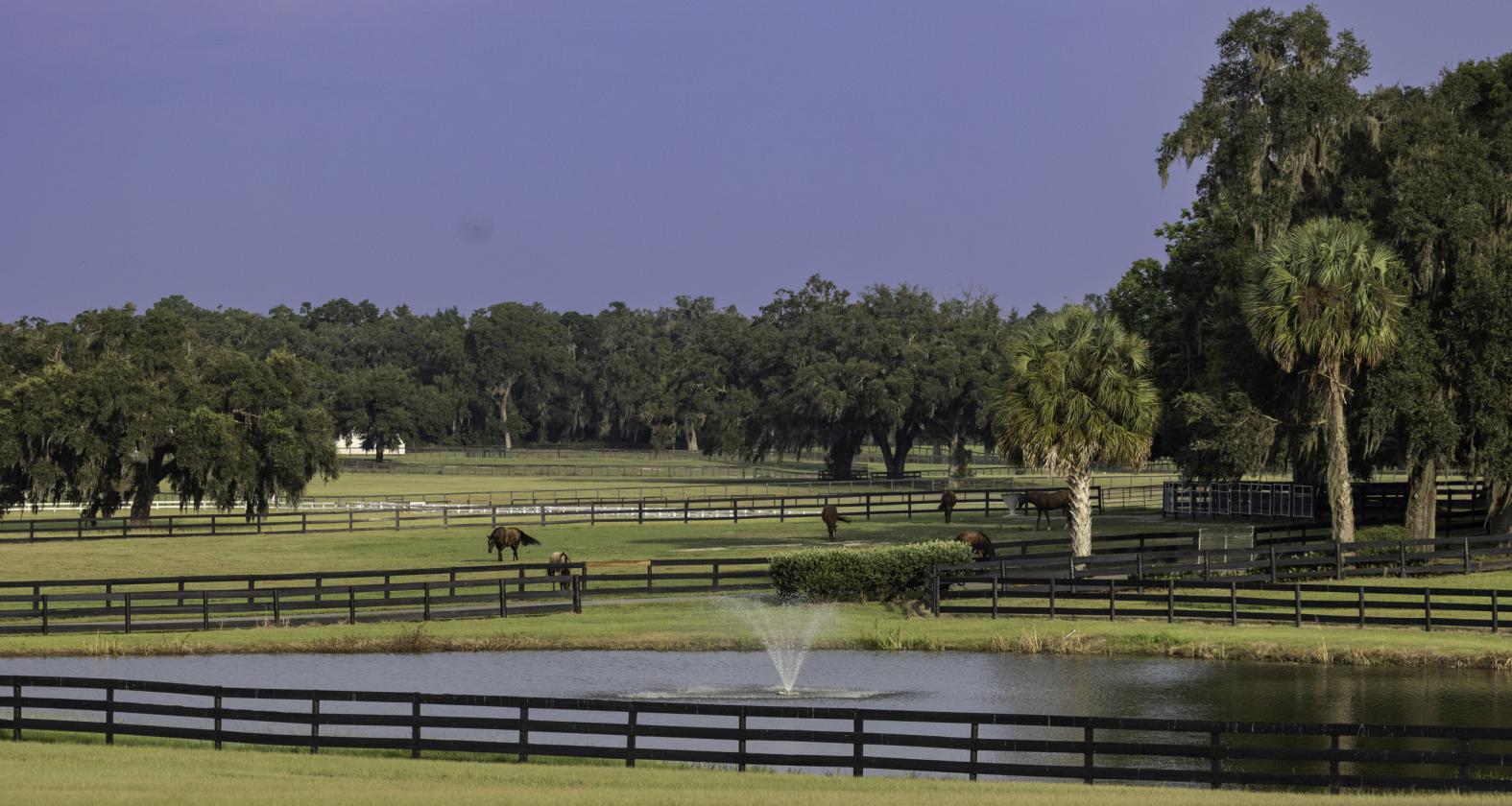 Kingwood Foxden - 4 miles to World Equestrian Center - photo 13