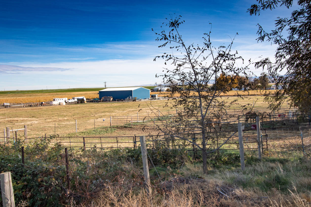 Horse properties with 2 houses and views of the... Milton