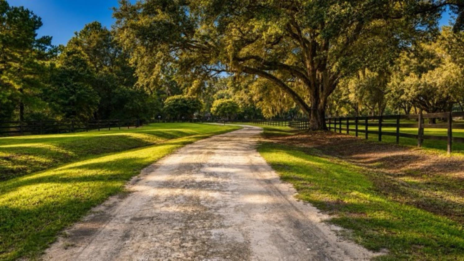 Owner Financing on HUGE Opportunity 37 ACRES - photo 4