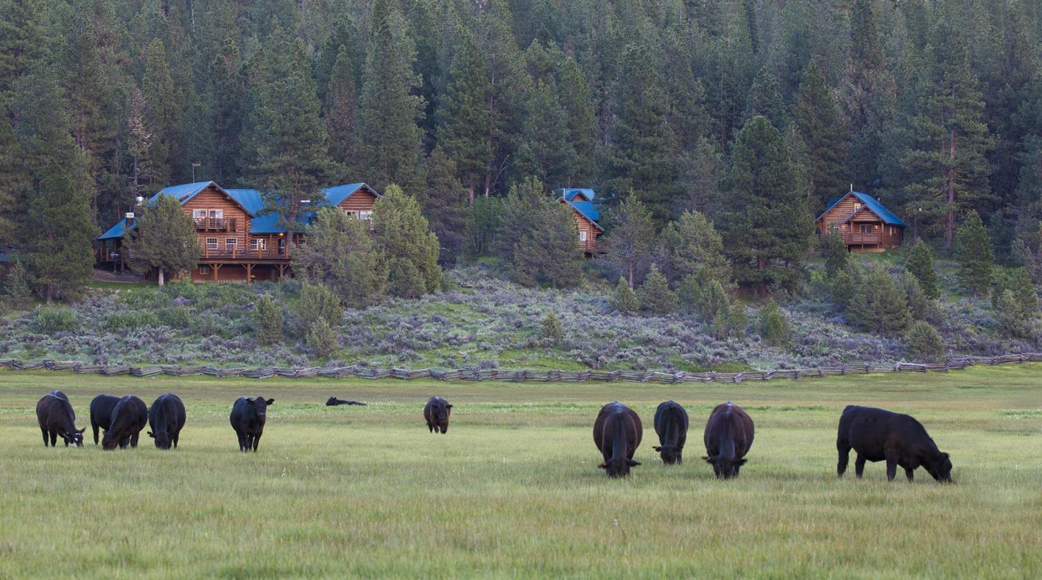 Aspen Ridge Ranch - photo 1