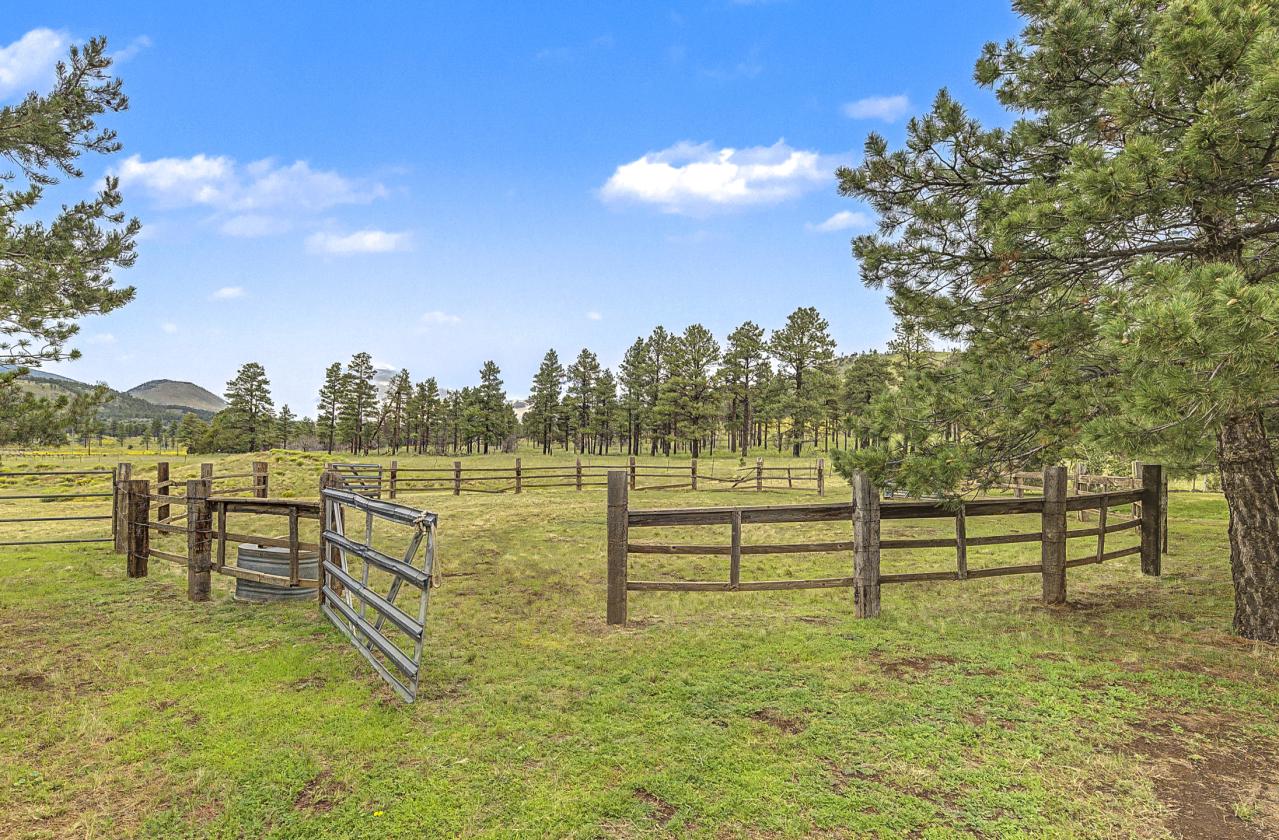 Horse Property on Nearly 4 Acres - photo 13