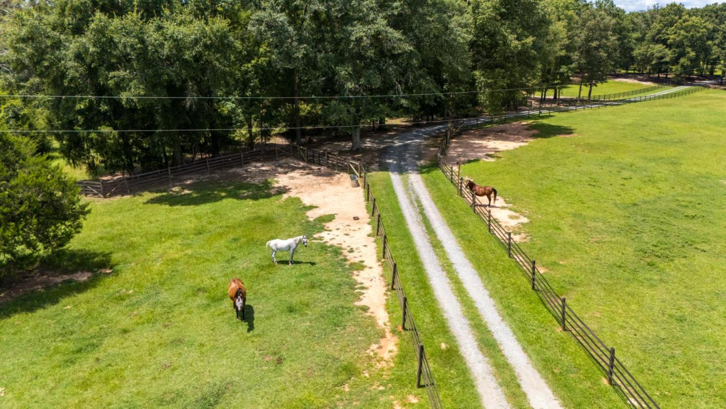 Equestrian Farm with 2 homes and stocked pond - photo 21