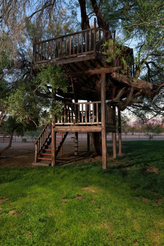 Elegant Custom Home with Grass Pastures - photo 29
