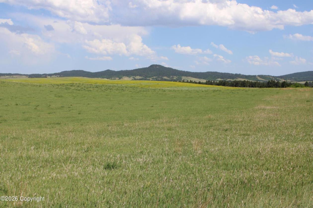 Tract 14 Belle River Ranch- NO Covenants -35+ Acre - photo 8