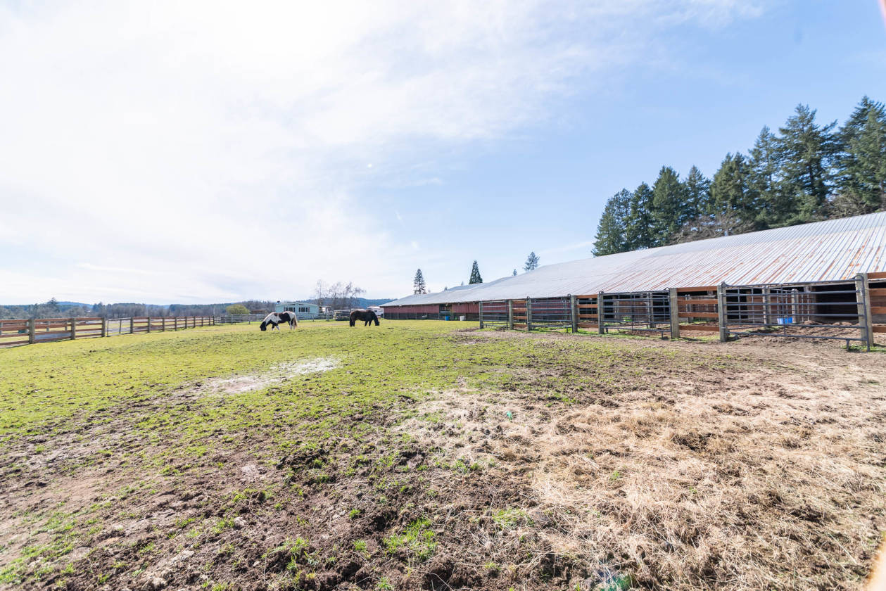 53 Acre Horse Property For Sale Junction City, Lane County, Oregon