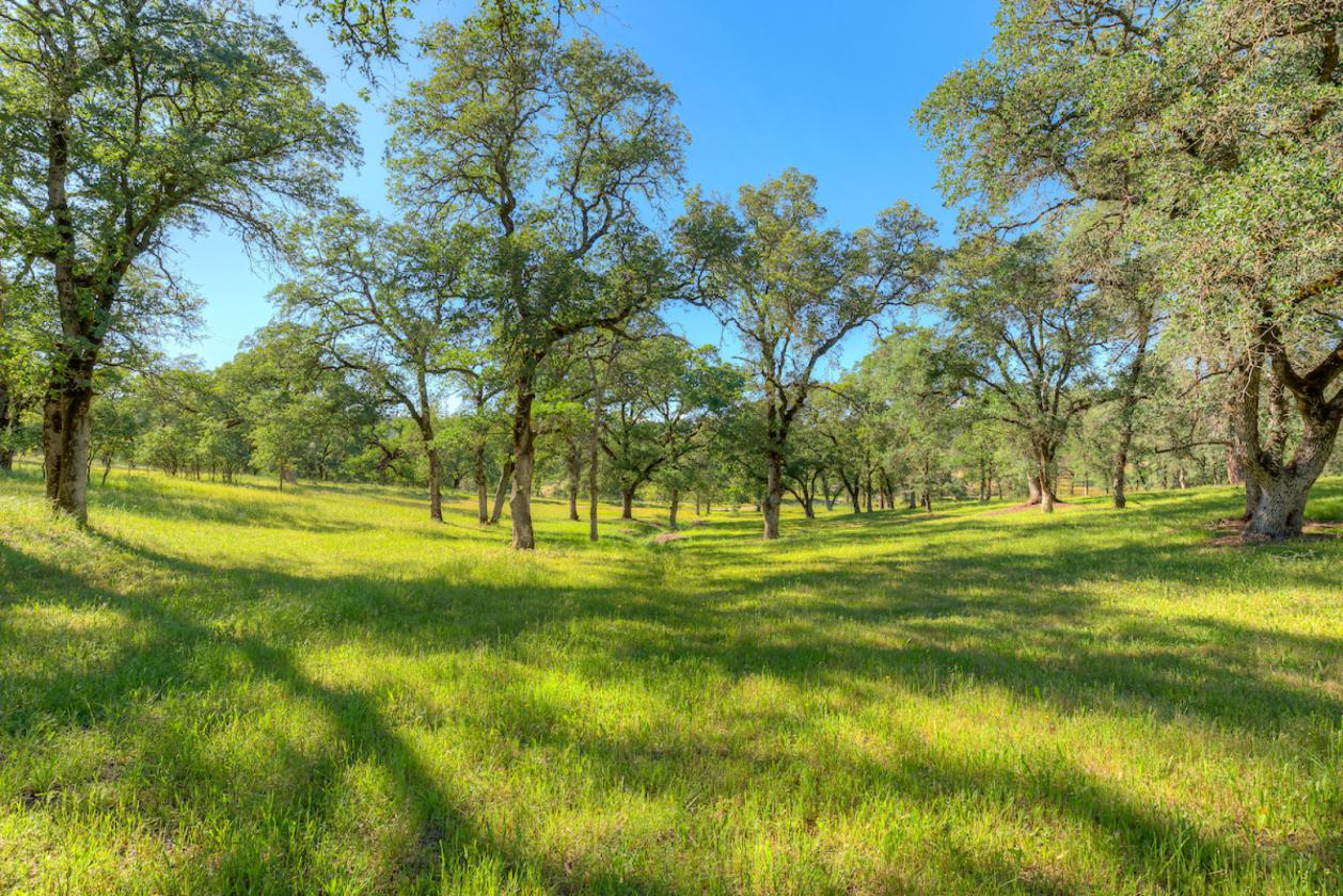 Oh, the POSSIBILITIES!! 5.31 Acres! - photo 25