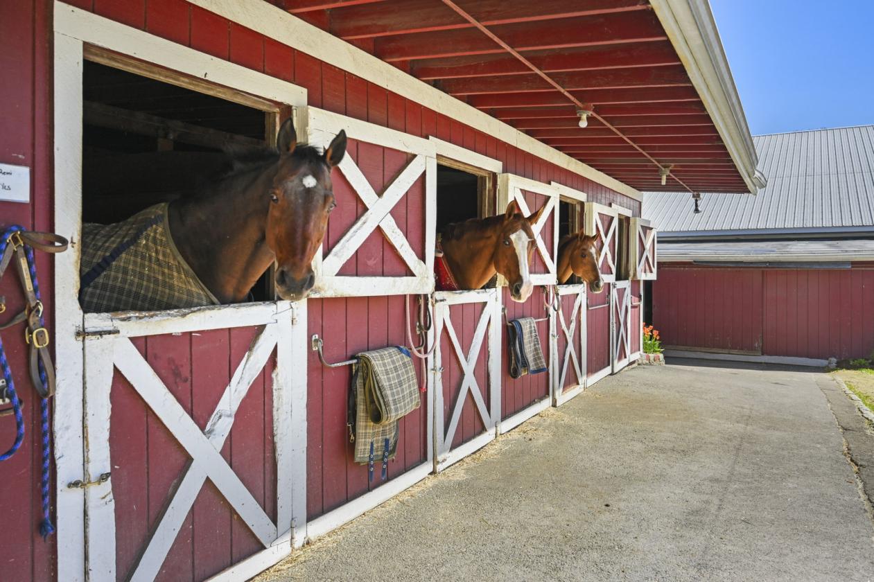 Silvermine Farm on 7 Acres Amazing Value - photo 28