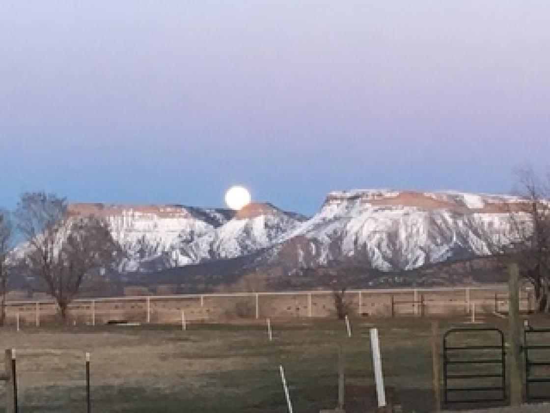 Mini Ranch with VIEWS - photo 24