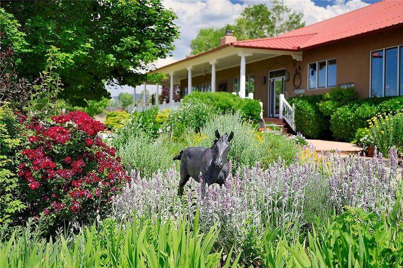 Horse Property for sale.