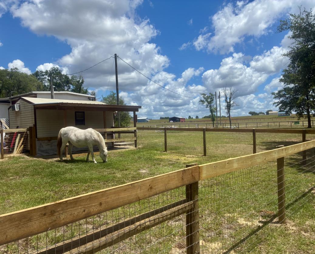 2.5 Acres of Mini Farm Living + Income Potential! - photo 17