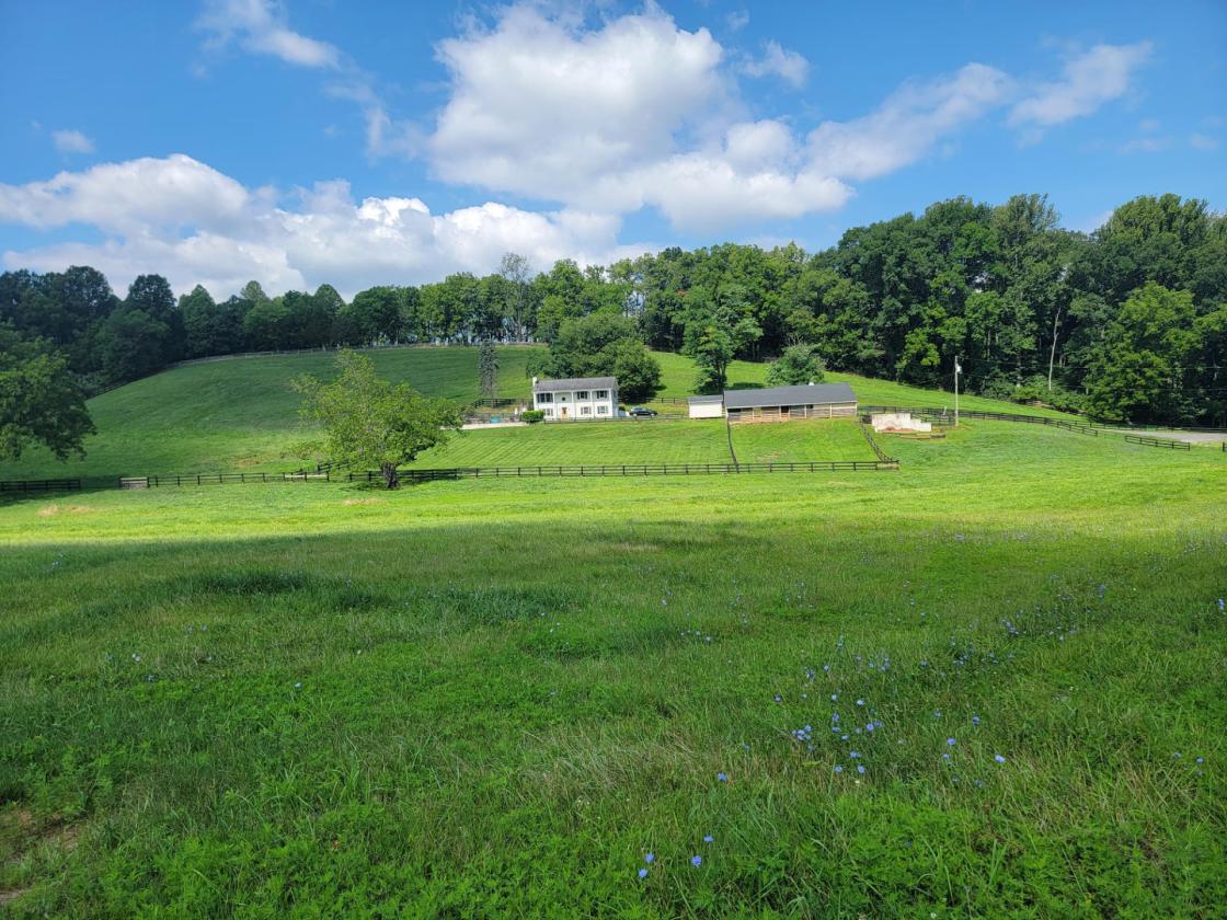 10-acre Horse Property with pool - photo 17