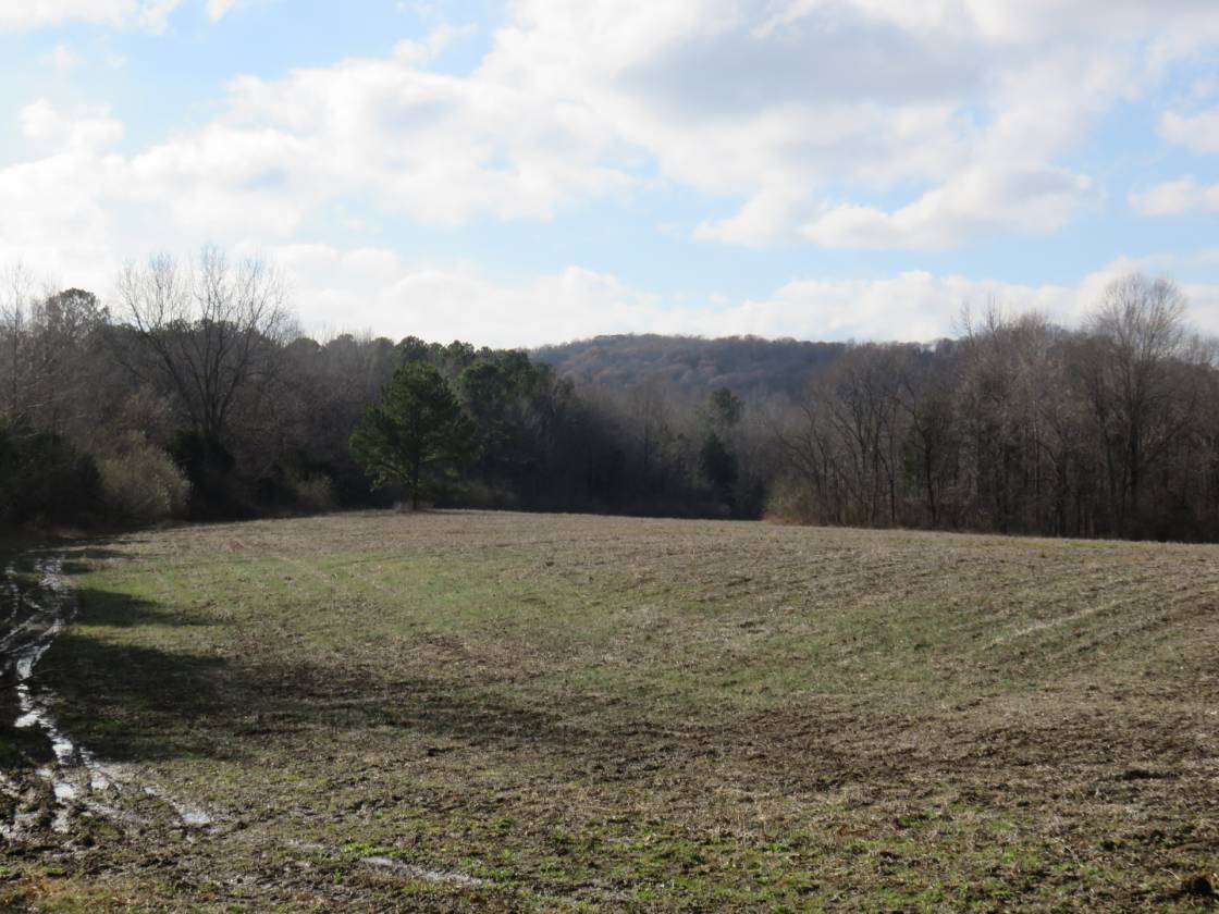 Horse Property for sale.