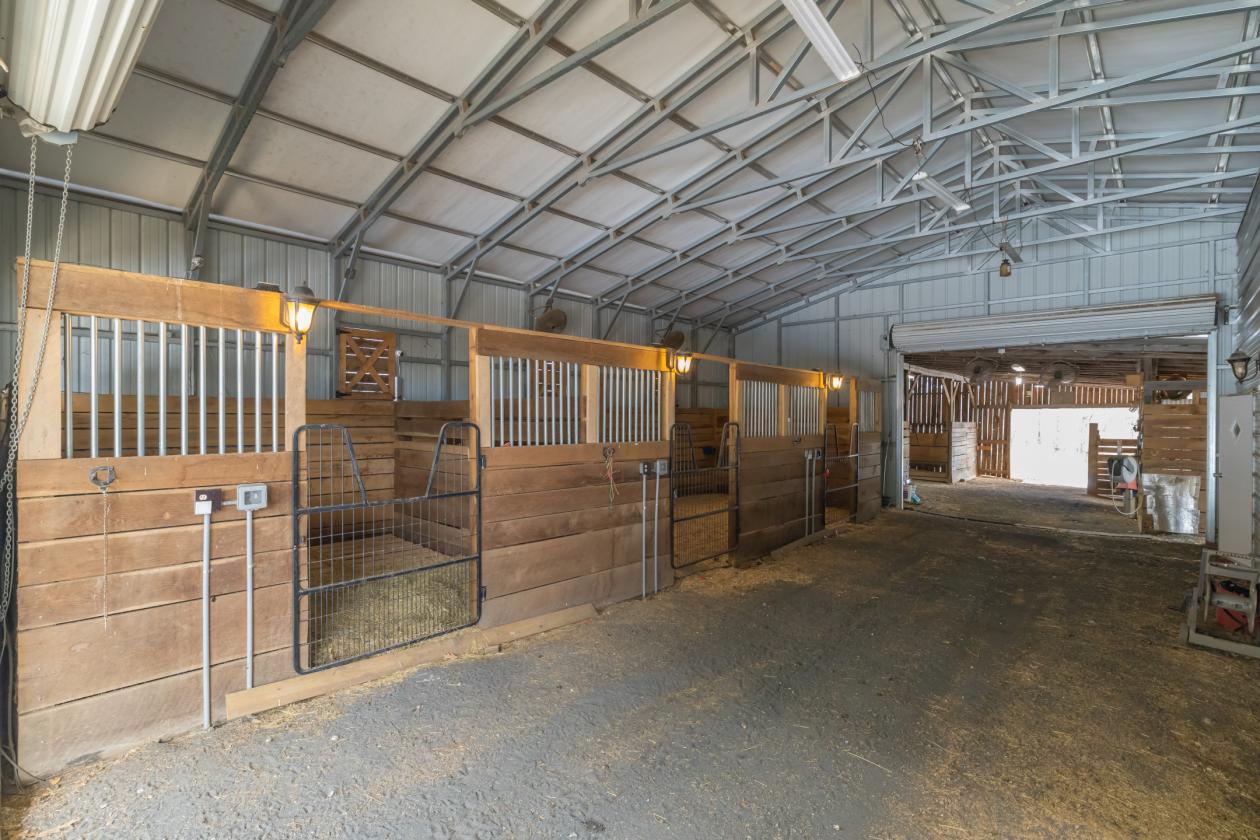 45-acre horse farm between Eden & Stoneville - photo 4