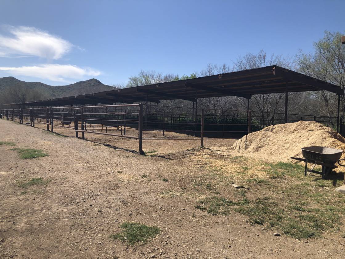 One of a Kind Horse Facility Located in a Quiet,... Laveen Village
