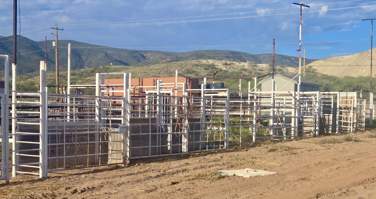 WESTERN LIVING MEETS TURNKEY RODEO PROPERTY - photo 4