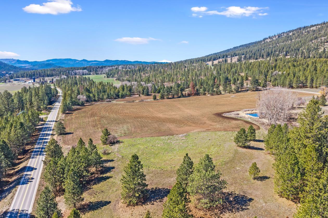 Gorgeous 63 Acres - photo 12