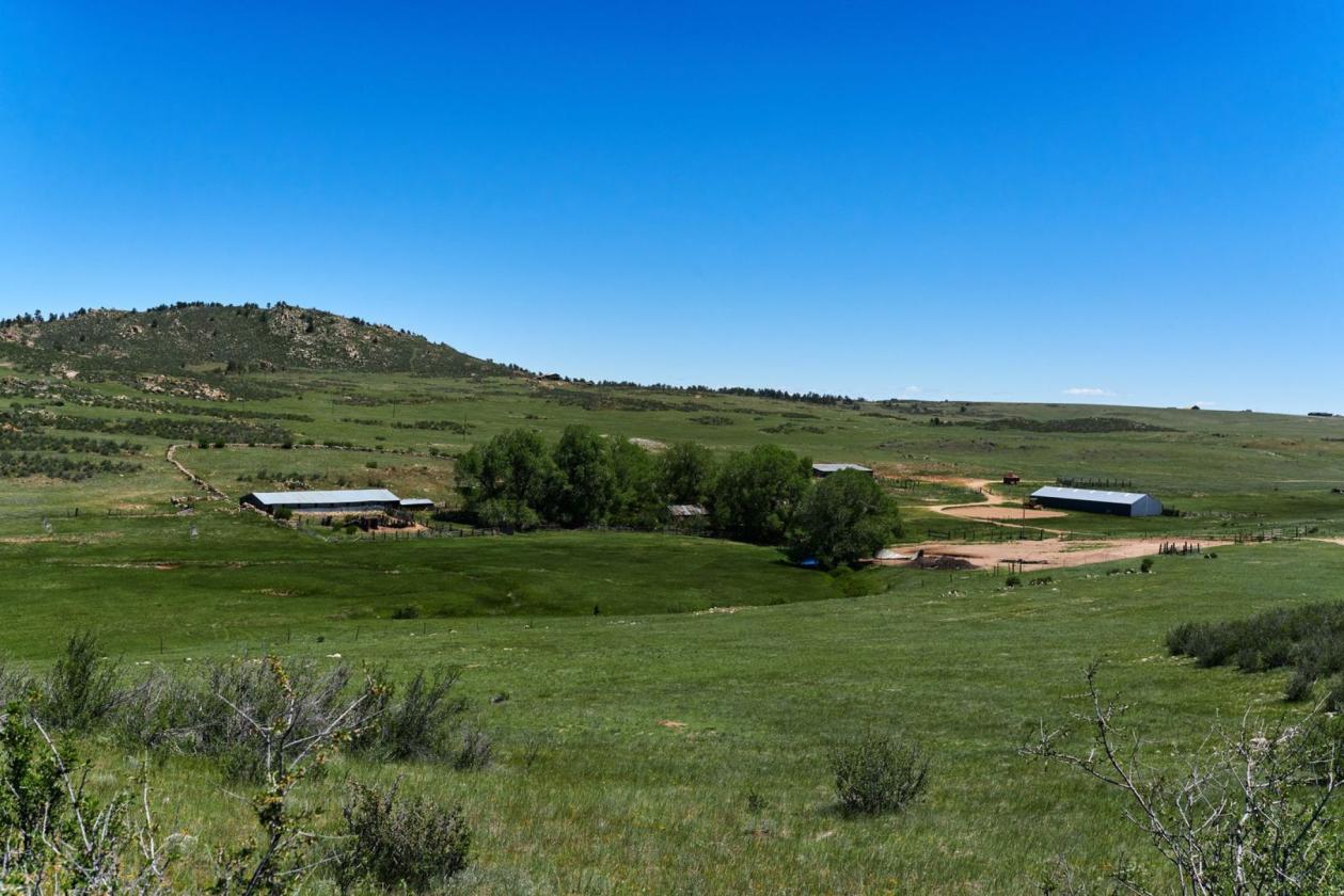 PRINCE (SODERGREEN) RANCH - photo 11