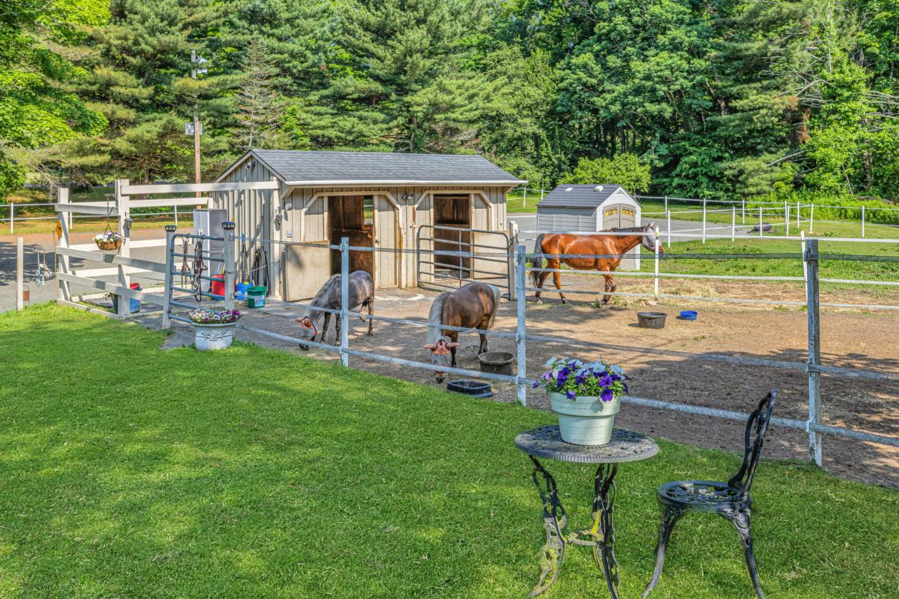 Income-Producing Equestrian Retreat! - photo 18