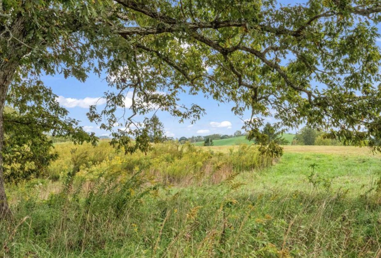 Nearly 50 Acres, Close to Asheville - photo 4