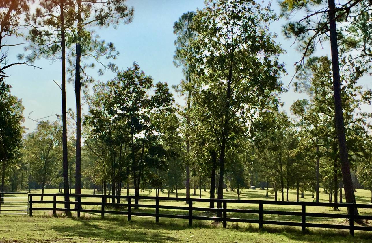 17.76 extraordinary rolling acres in Three Runs Plantation, Aiken S.C