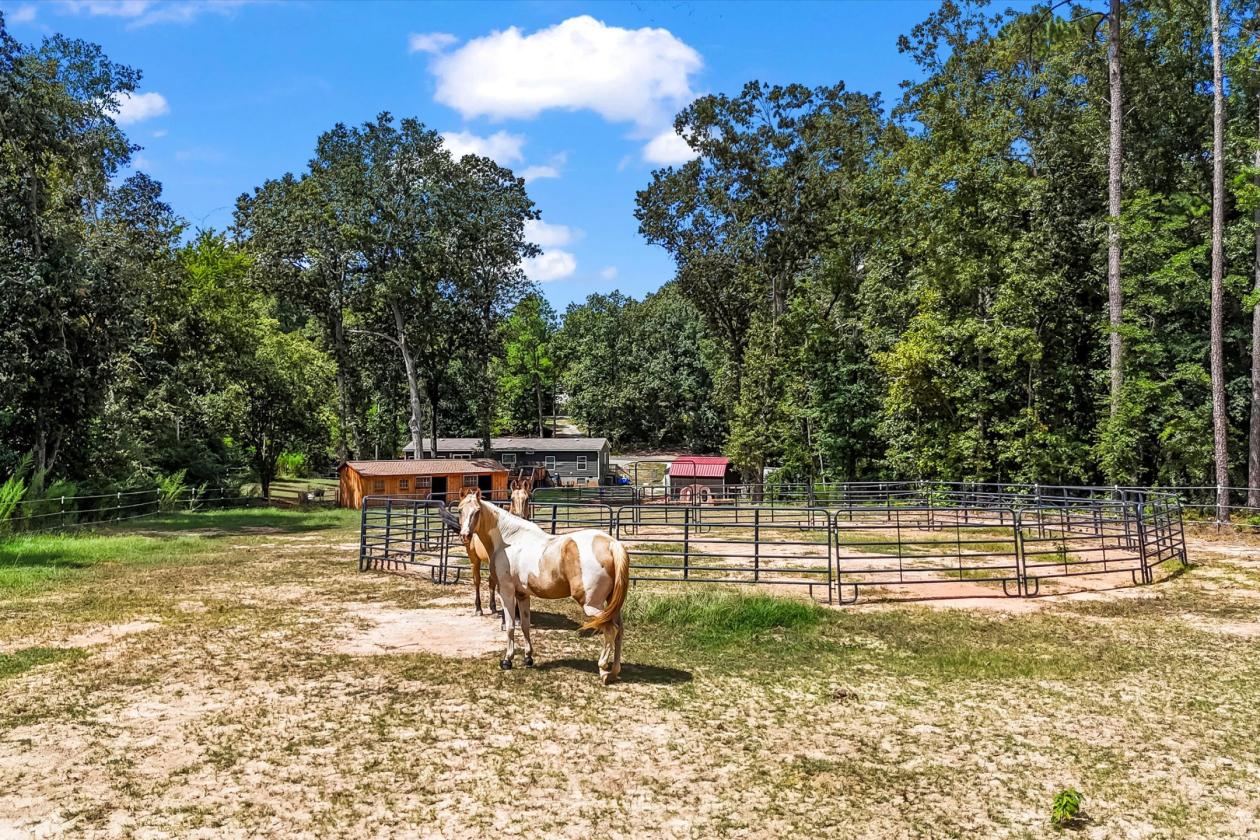Mini-Farm Close to Downtown Aiken - photo 4