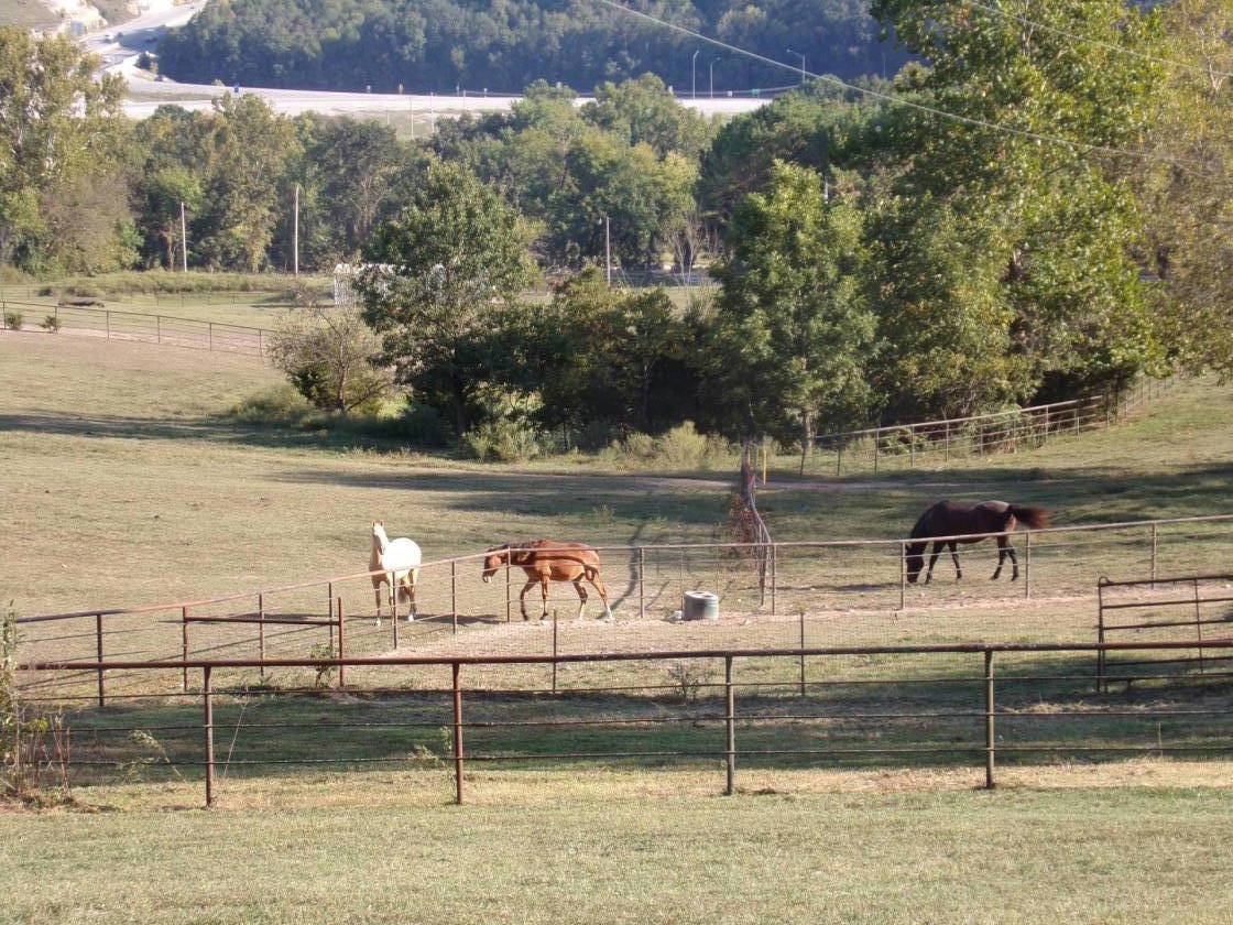 85 Acre Horse Ranch in SW corner of Missouri Heavens... Pineville