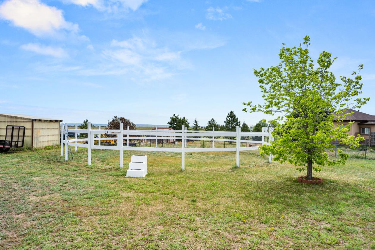 Pikes Peak Views & Horse-Ready Living - photo 23
