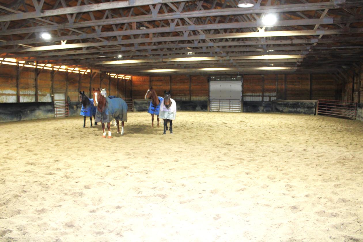 Central Indiana Horse Training & Boarding Facility - photo 16