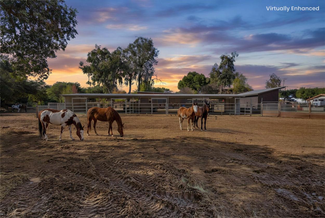 Horse Ranch in Ortega Mountian - photo 3
