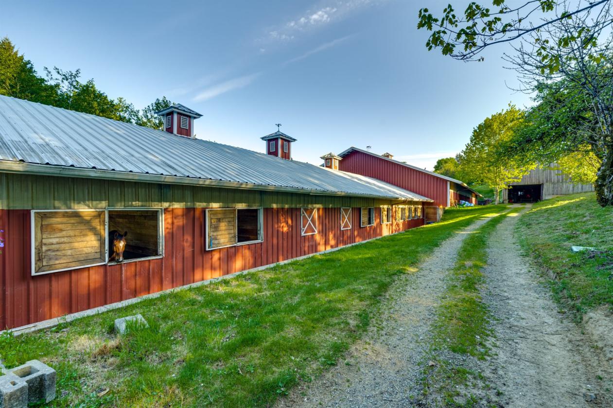 Luxury equestrian estate with pool, barn, arenas - photo 29