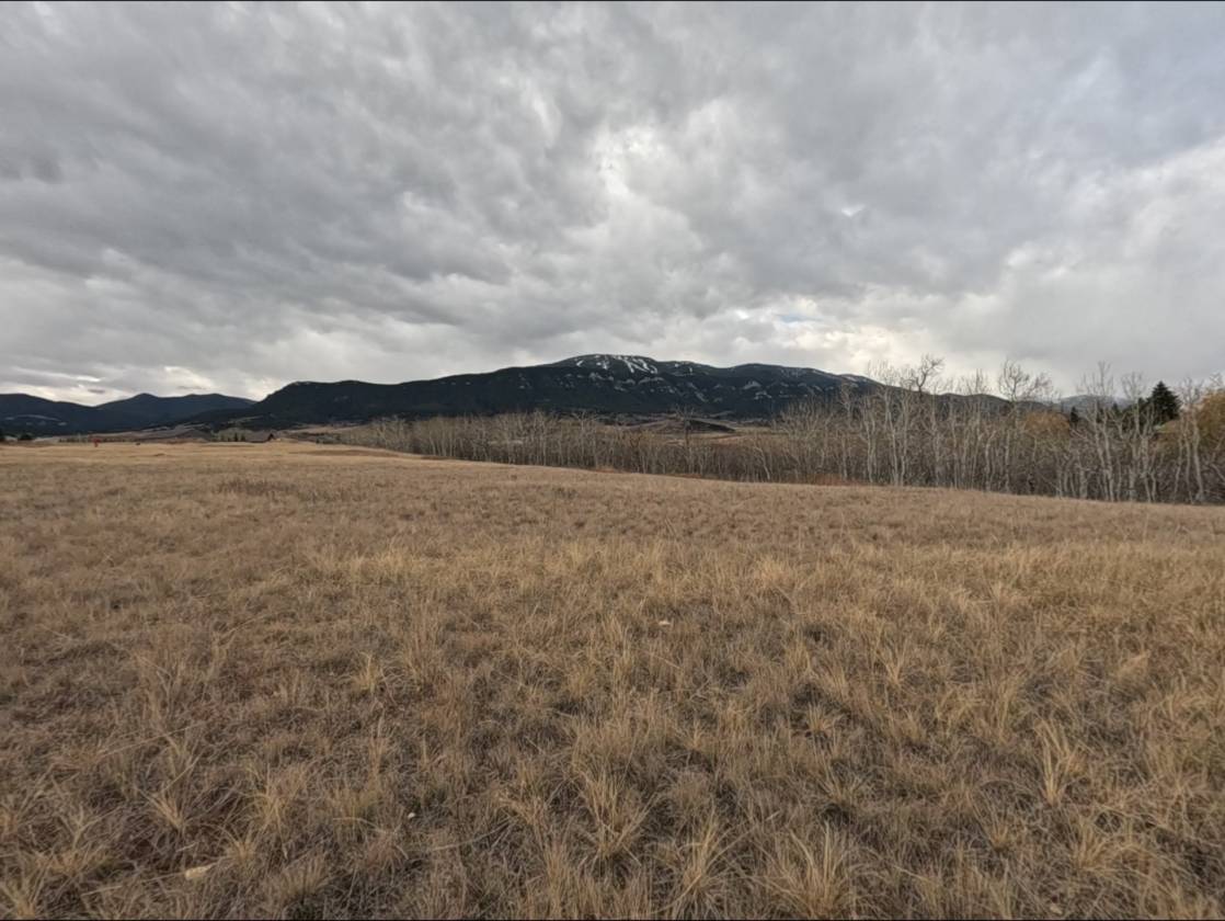 15.268 Acres! Creeks! Trails! Views! Meadows! - photo 18