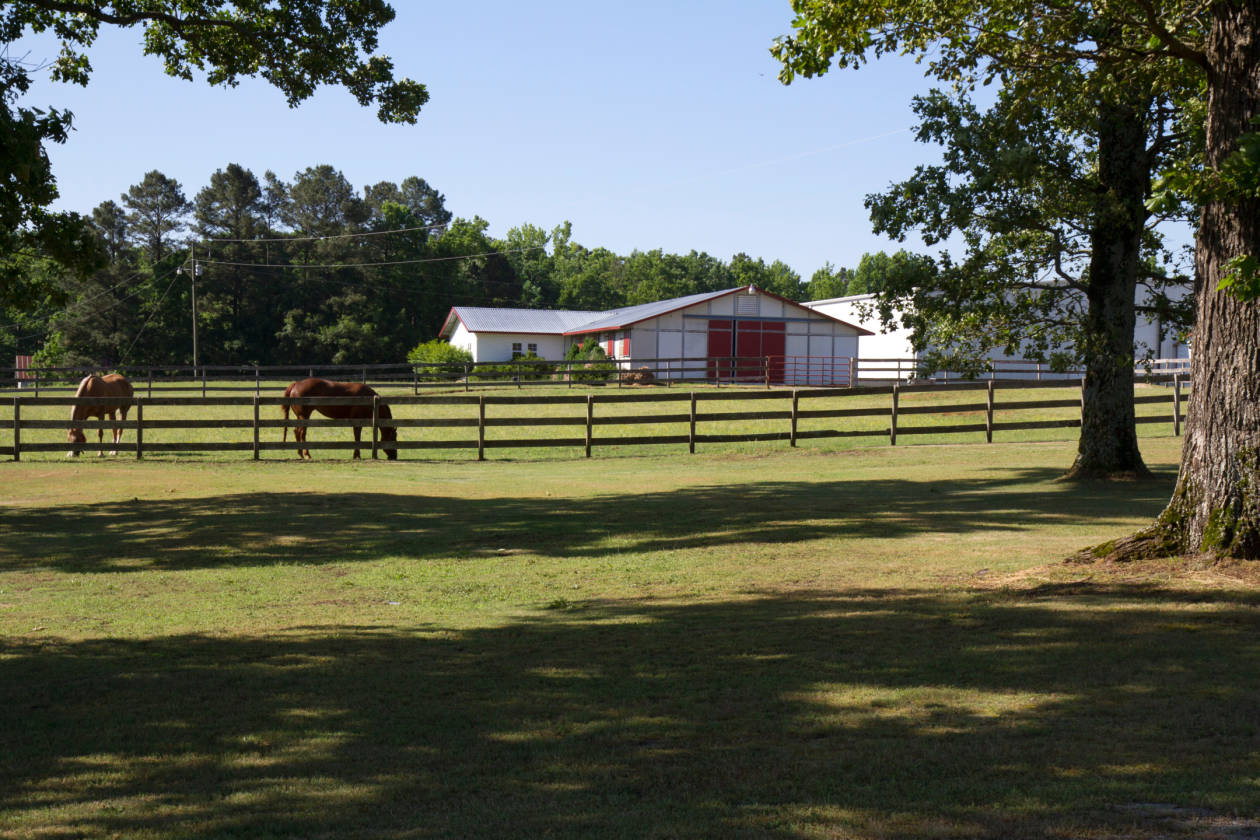 Horse Farms For Sale in Chesterfield Chesterfield County, Chesterfield