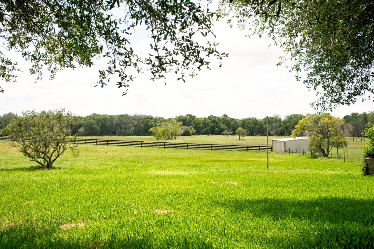 76 Ac. Braun Farm - photo 25