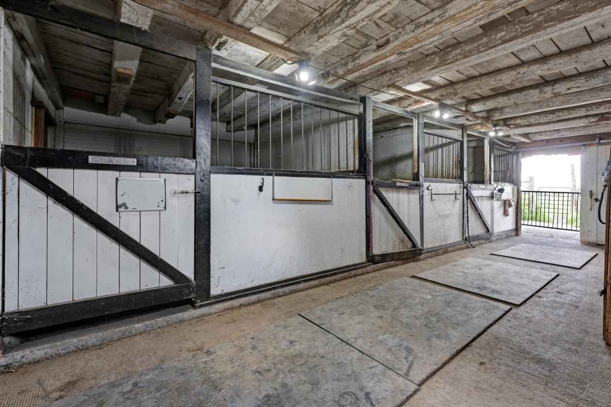 SURROUNDED BY VIBRANT EQUESTRIAN COMMUNITY - photo 3