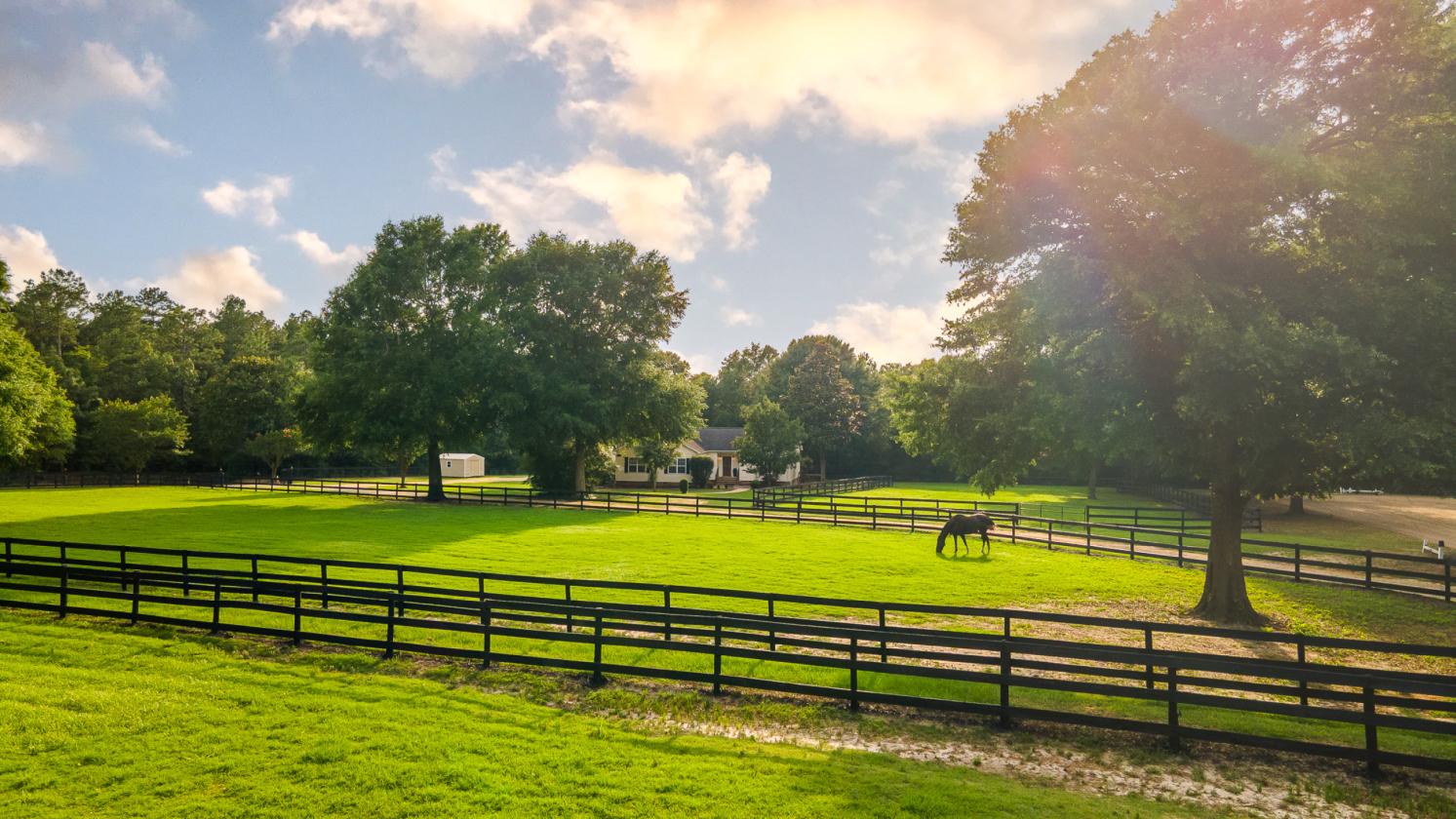 Oak Haven Farm - 302 Equestrian Corridor - photo 25