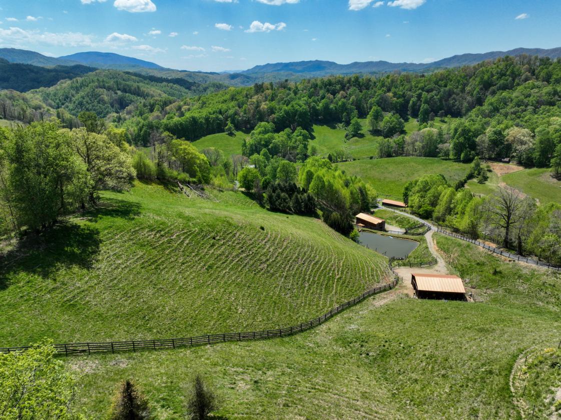10 acres, multiple barns & homes, farm pond - photo 28