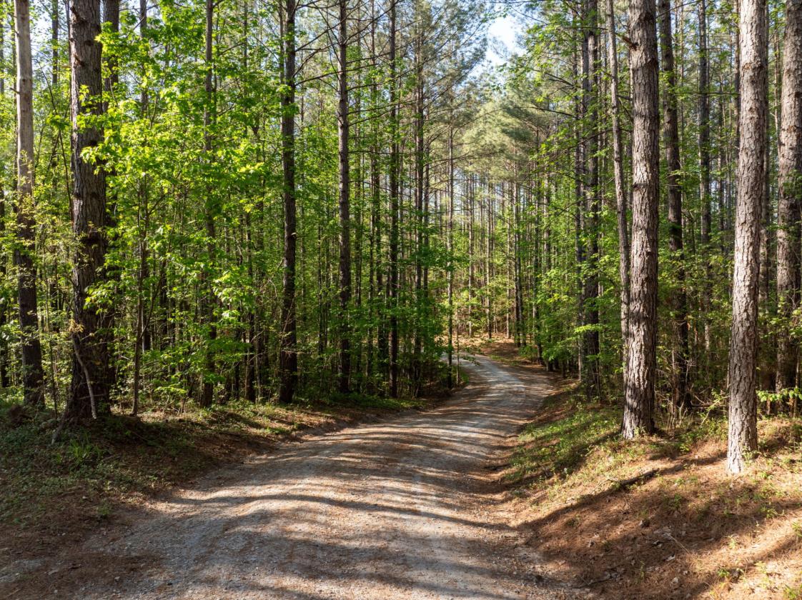 169 Acres, pastures, creeks, pond sites and trees - photo 20
