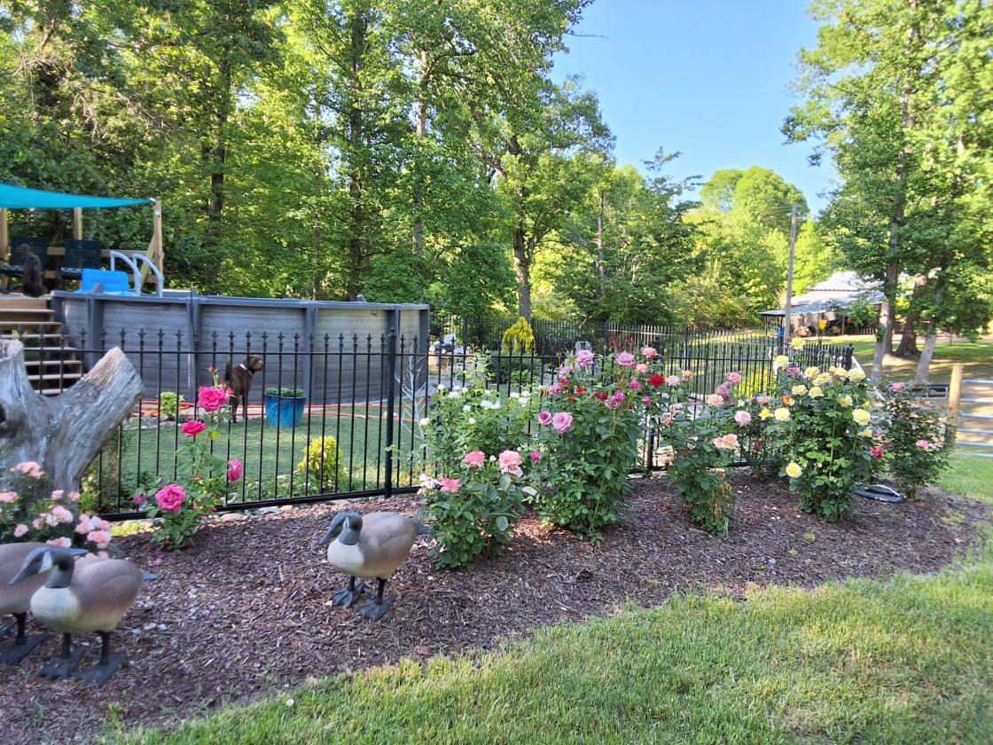 Gentleman's Country Farm - photo 7