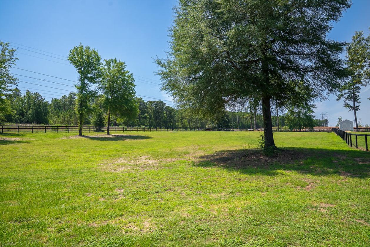 Horse-Ready in Aiken’s Goodsprings Plantation - photo 9