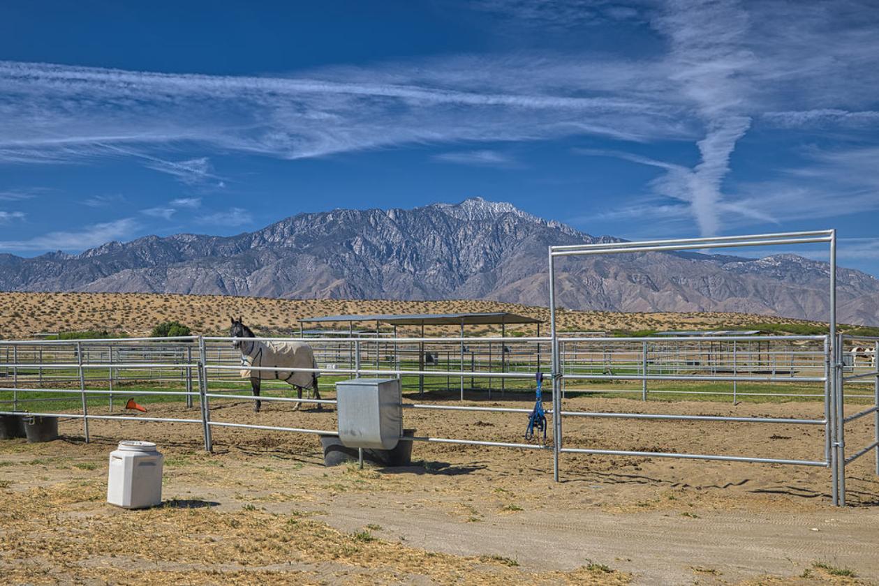 Equestrian Paradise Minutes from Palm Springs - photo 3
