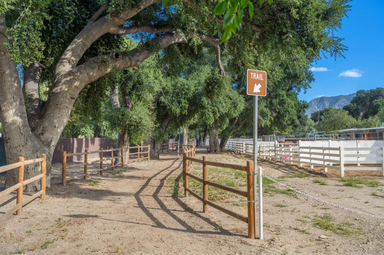 Gated 6 Acre Horse Facility In Sand Canyon - photo 20