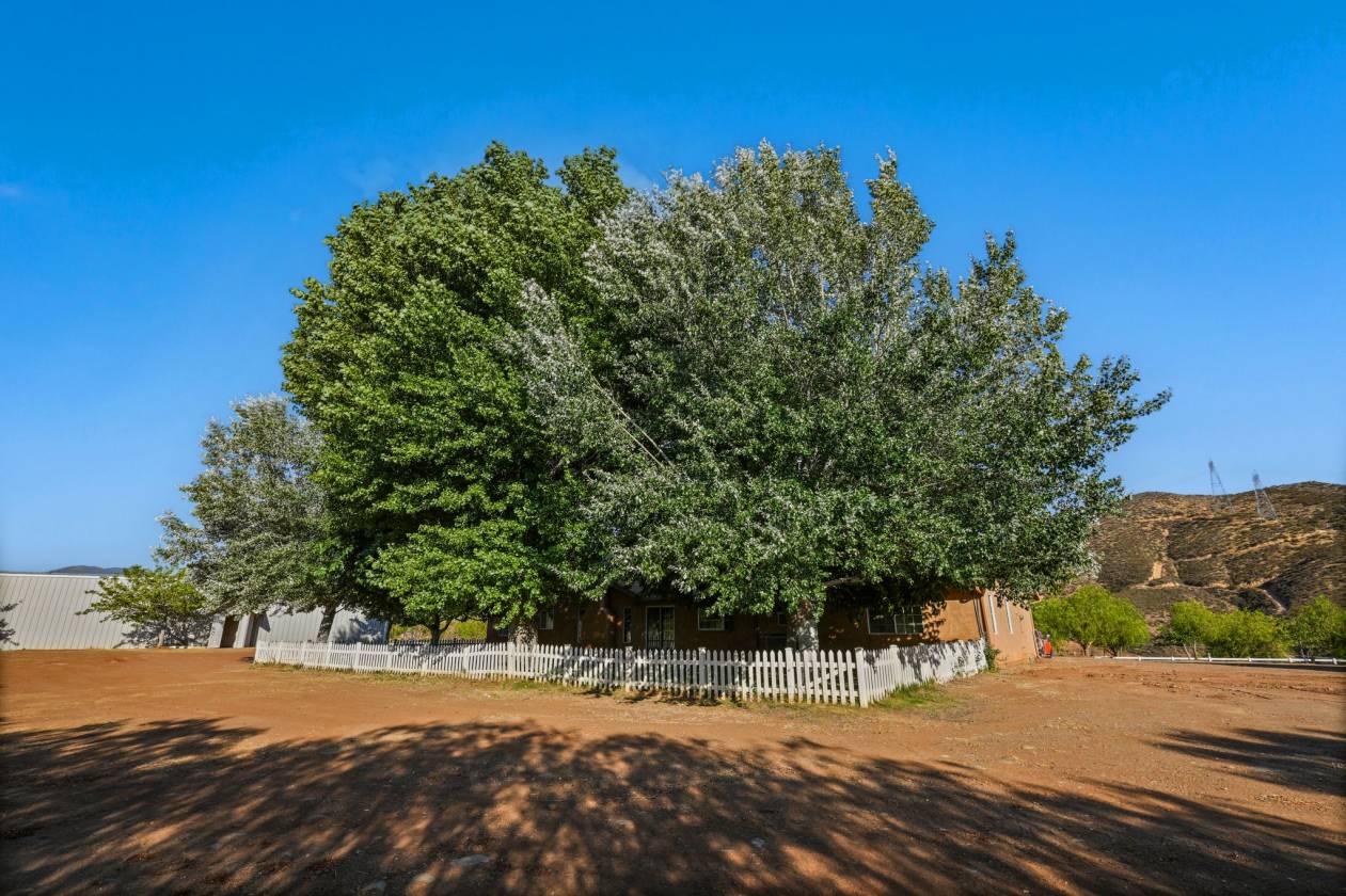 Rare Hilltop, Equestrian Estate - photo 27