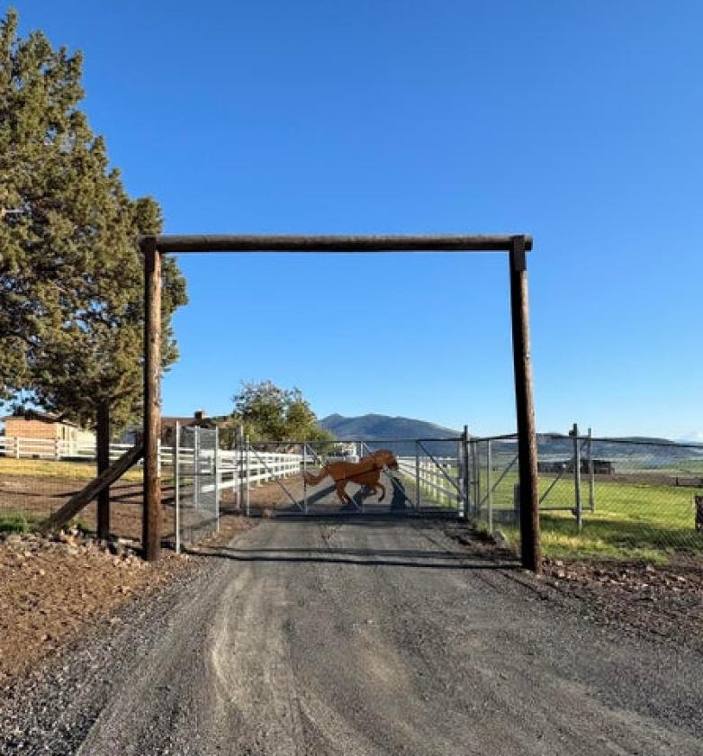 Luxury Equestrian Estate - photo 2